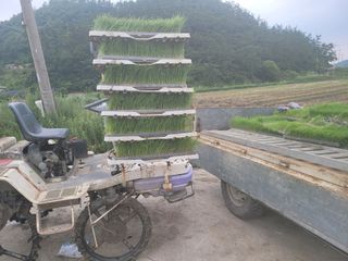 박성완님의 나의 농사 필수품 소개하기 · 참여글 작성글 사진