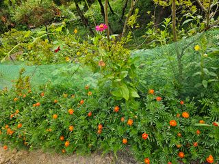 이형록님의 기타작물 · 자유게시판 작성글 사진
