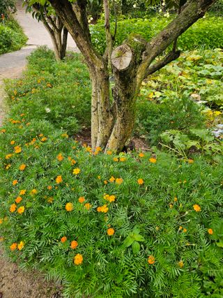 이형록님의 기타작물 · 자유게시판 작성글 사진