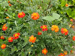 이형록님의 기타작물 · 자유게시판 작성글 사진