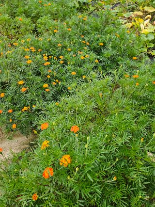 이형록님의 기타작물 · 자유게시판 작성글 사진