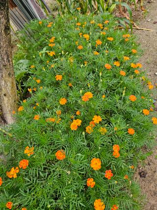 이형록님의 기타작물 · 자유게시판 작성글 사진