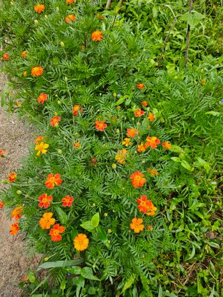 이형록님의 기타작물 · 자유게시판 작성글 사진