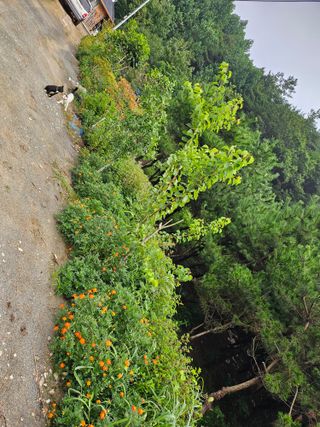 이형록님의 기타작물 · 자유게시판 작성글 사진