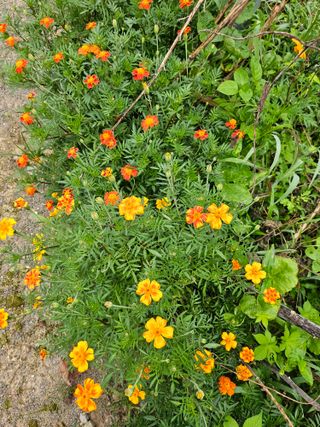 이형록님의 기타작물 · 자유게시판 작성글 사진