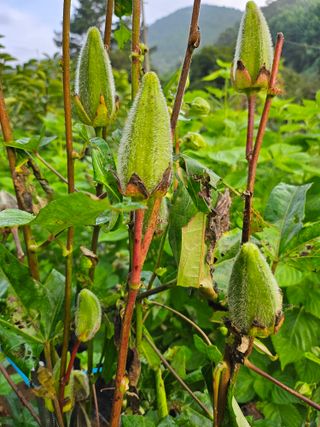 이형록님의 자유주제 · 자유게시판 작성글 사진