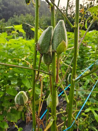 이형록님의 자유주제 · 자유게시판 작성글 사진