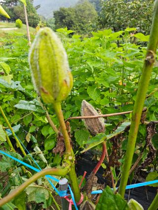 이형록님의 자유주제 · 자유게시판 작성글 사진
