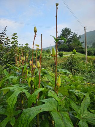 이형록님의 자유주제 · 자유게시판 작성글 사진
