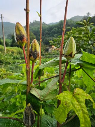이형록님의 자유주제 · 자유게시판 작성글 사진