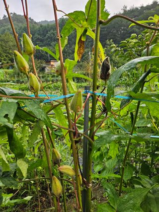 이형록님의 자유주제 · 자유게시판 작성글 사진