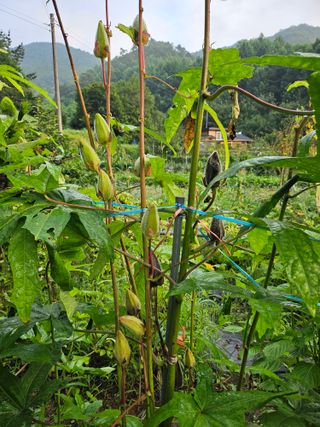 이형록님의 자유주제 · 자유게시판 작성글 사진