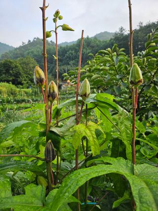 이형록님의 자유주제 · 자유게시판 작성글 사진