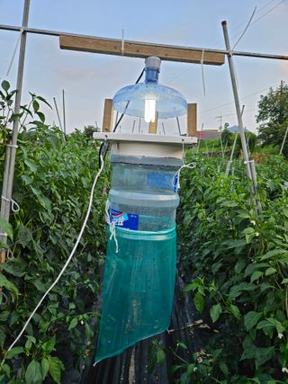 박종언님의 고추 · 병해충상담 작성글 사진