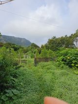 팜모닝 기타작물·영농일지 게시글 이미지