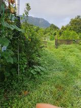 팜모닝 기타작물·영농일지 게시글 이미지