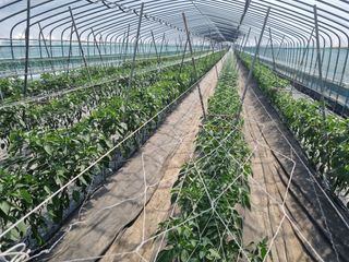 단지바이오님의 자유주제 · 자유게시판 작성글 사진