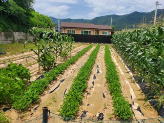 김시현 님의 자유주제 · 자유게시판 작성글 사진
