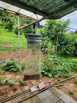 팜모닝 복숭아·병해충상담 게시글 이미지