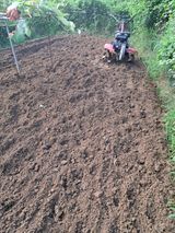 팜모닝 배추·영농일지 게시글 이미지