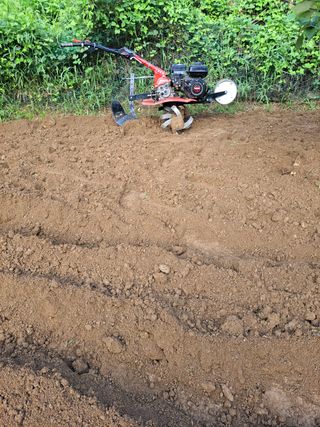 오문섭님의 배추 · 영농일지 작성글 사진