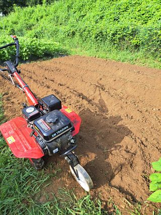 오문섭님의 배추 · 영농일지 작성글 사진
