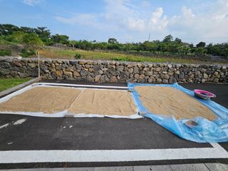 제주님의 참깨 · 자유게시판 작성글 사진