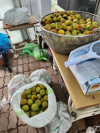 최병훈님의 상추 · 영농일지 작성글 사진