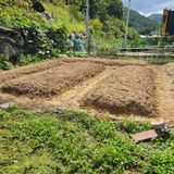 팜모닝 사과·영농일지 게시글 이미지