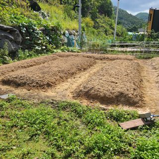 도솔님의 사과 · 영농일지 작성글 사진