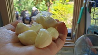 농부아내님의 작성글 사진