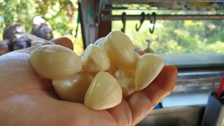 농부아내님의 작성글 사진