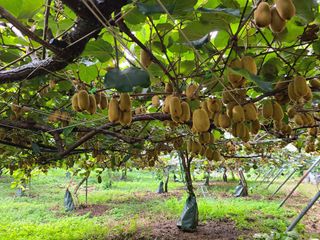 노고단님의 기타작물 · 자유게시판 작성글 사진