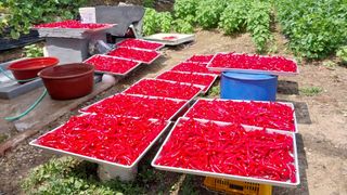 이진구님의 나의 농사 필수품 소개하기 · 참여글 작성글 사진