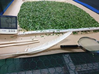 홍박농원님의 자유주제 · 자유게시판 작성글 사진