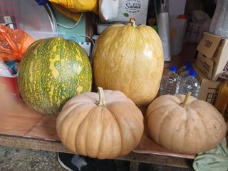 주*희님의 자유주제 · 자유게시판 작성글 사진