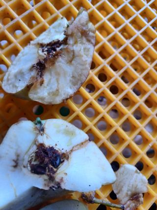 박흥구님의 자유주제 · 자유게시판 작성글 사진