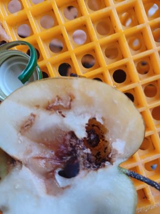 박흥구님의 자유주제 · 자유게시판 작성글 사진