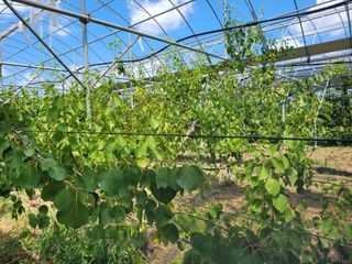 조전무 주) 참토님의 자유주제 · 칭찬해요 작성글 사진