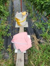 팜모닝 나의 농사 필수품 소개하기·참여글 게시글 이미지