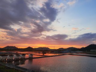 김나영 님의 자유주제 · 자유게시판 작성글 사진