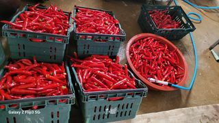 이미경님의 자유주제 · 자유게시판 작성글 사진