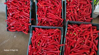 이미경님의 자유주제 · 자유게시판 작성글 사진