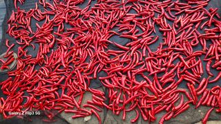 이미경님의 자유주제 · 자유게시판 작성글 사진