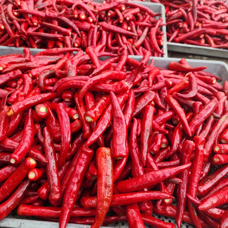 장터 상품 [고냉지 고춧가루] 썸네일