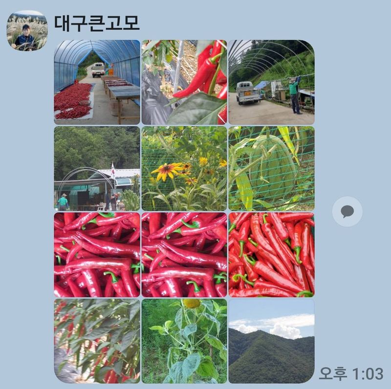 장터 상품 [고추가루500그램] 썸네일