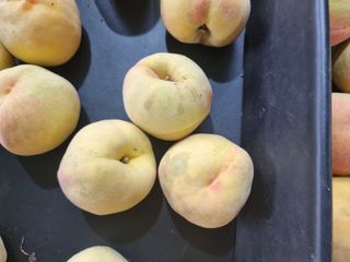 김병만78님의 복숭아 · 병해충상담 작성글 사진