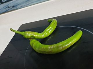 민정님의 고추 · 병해충상담 작성글 사진