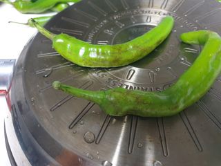 민정님의 고추 · 병해충상담 작성글 사진