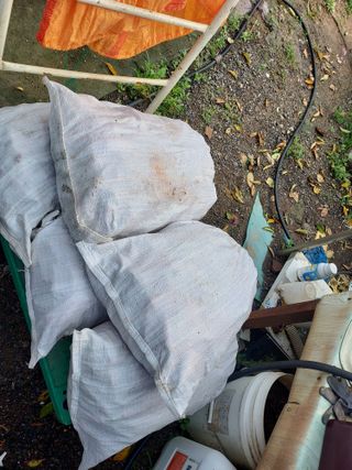 태일농산이정수님의 고추 · 수확 작성글 사진